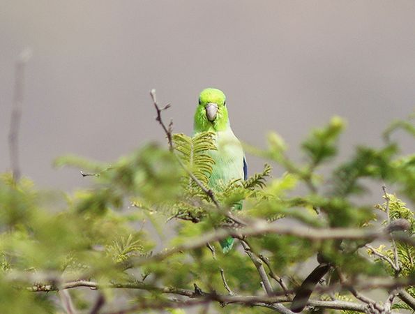 ʲôǸʬ_սʬ漶_ʬ(ͼƬ)