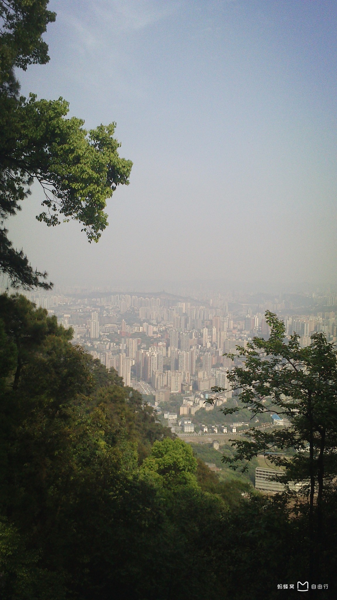歌乐山森林公园