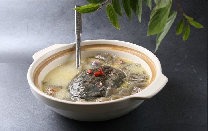 参麦炖甲鱼