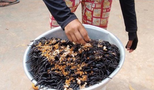 油炸蜘蛛