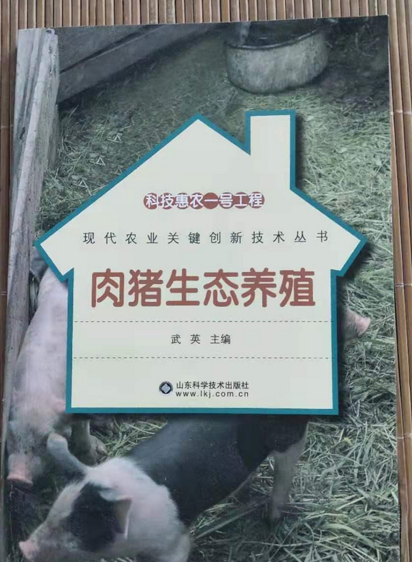 肉猪生态养殖