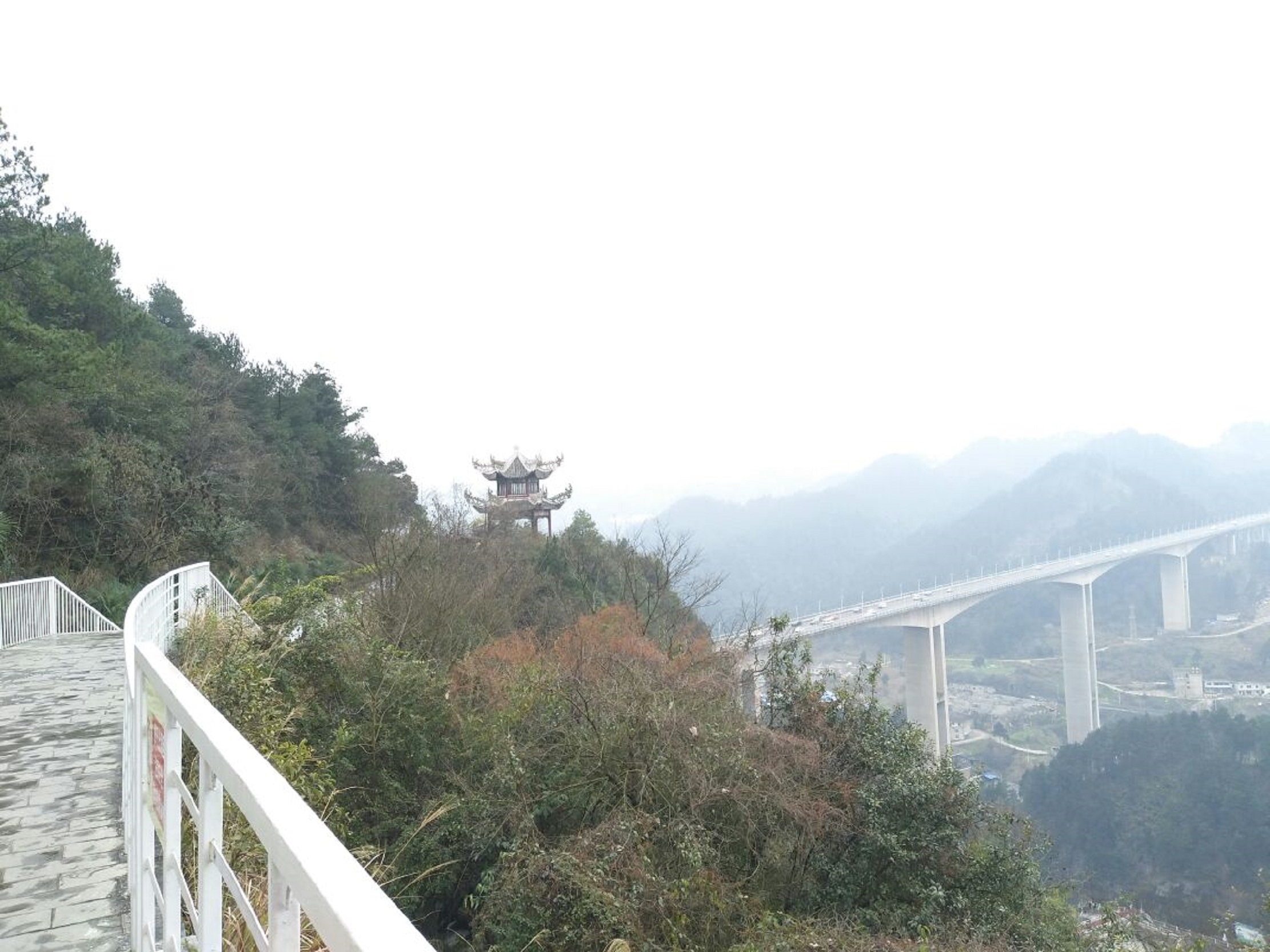 鹿冲关森林公园