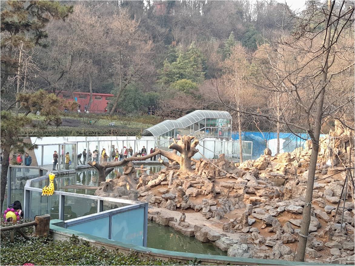 南京红山森林动物园
