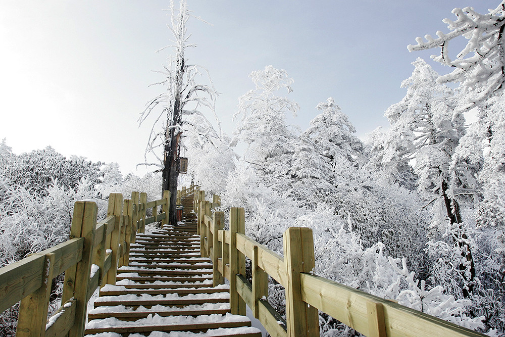 成都西岭雪山