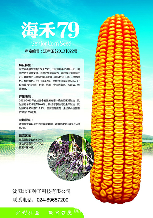 属 /a>植物,适宜在辽宁省内≥10℃活动积温在2800℃以上的玉米区种植