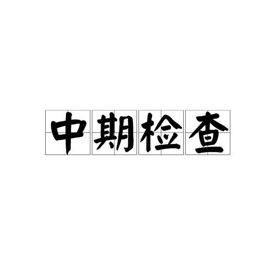 中期检查
