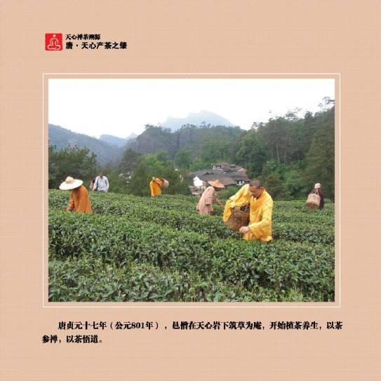 天心禅茶