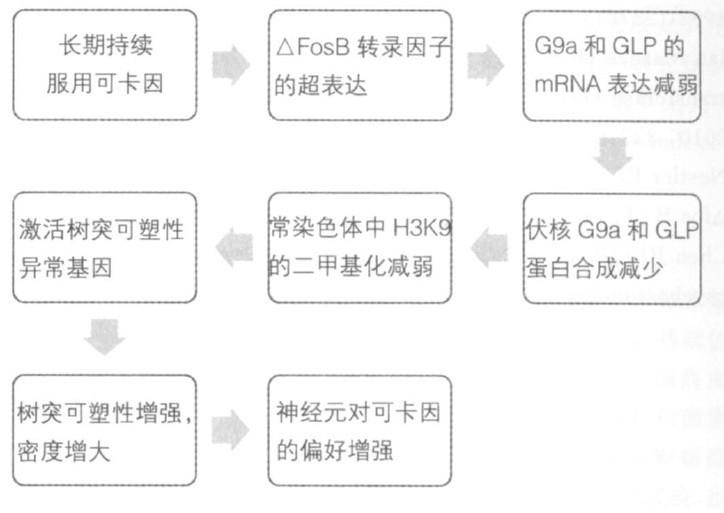 可卡因