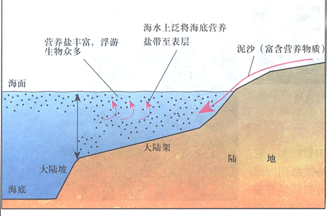 大陆架