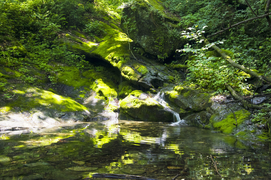 十堰市伏龙山自然风景区