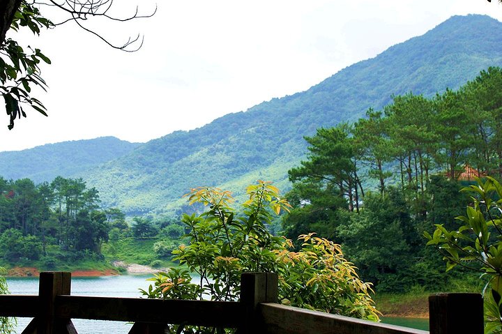 黄龙湖森林公园