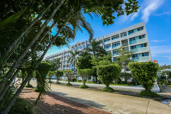 深圳龙岗技校 全网资源