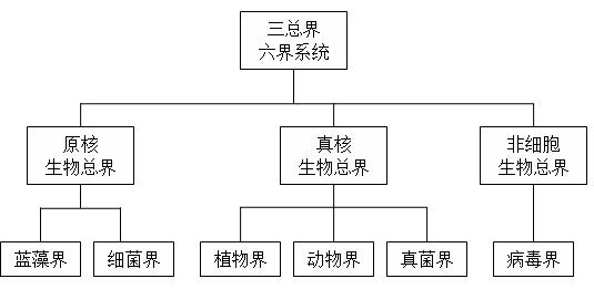  p></p></a>三总界六界系统是生物分类学中出现的一种比原有五界系统更为完善