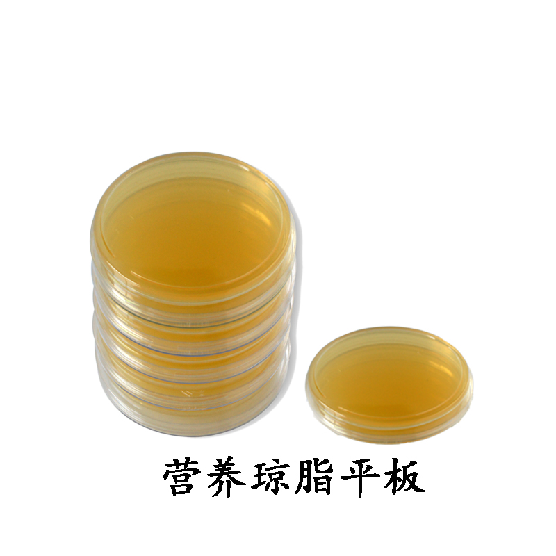的最常用的 a href="#" data-lemmaid="10589899">固体培养基 /a>形式
