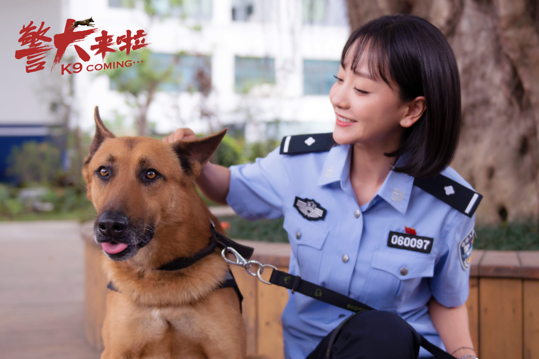 警犬来啦