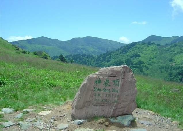 湖北神农顶
