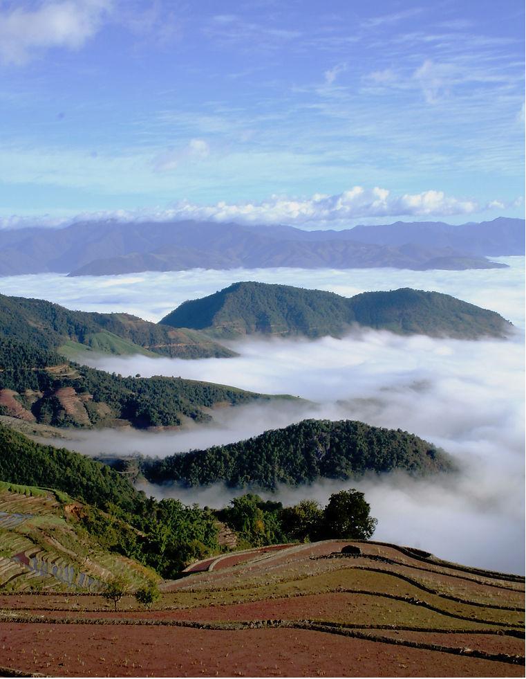 现在元江县天气怎么样_(元江县今天的气温是多少度)