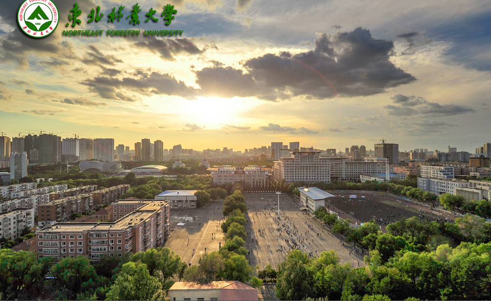 p>东北林业大学 i>northeast forestry university/i,位于黑龙江