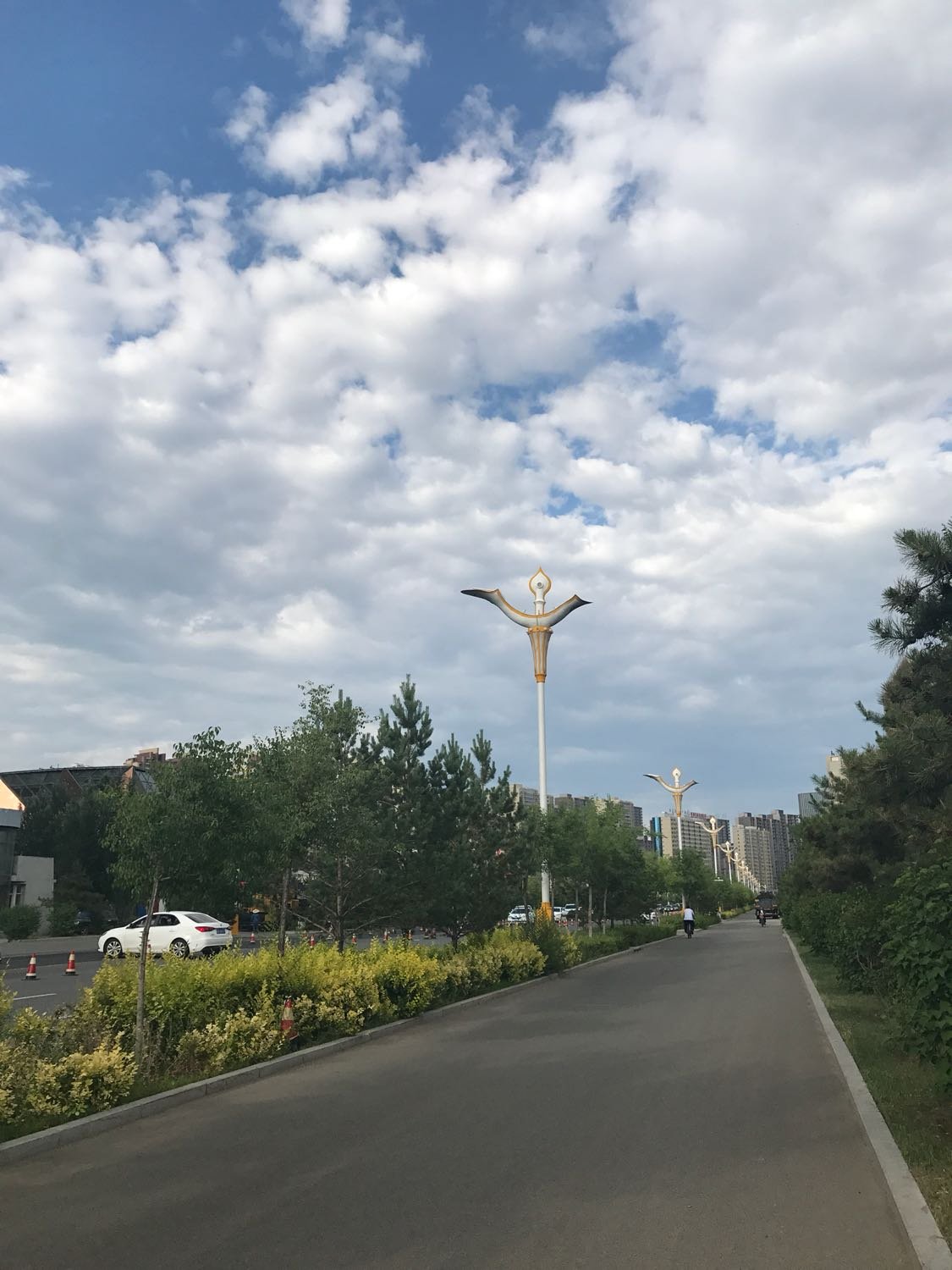 成吉思汗大街街道