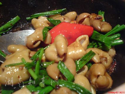 p></p></a>猪的内脏器官,猪肠是用于输送和消化食物的,有很强的韧性,并不像 a