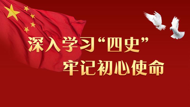 p>四史,又名新四史.