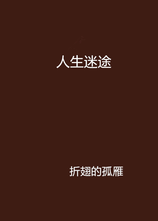 人生迷途