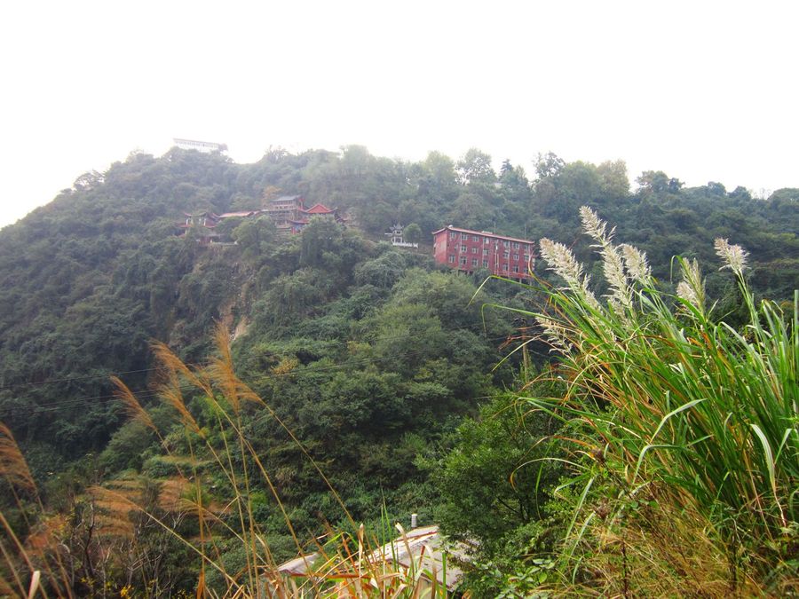 黄荆山林区