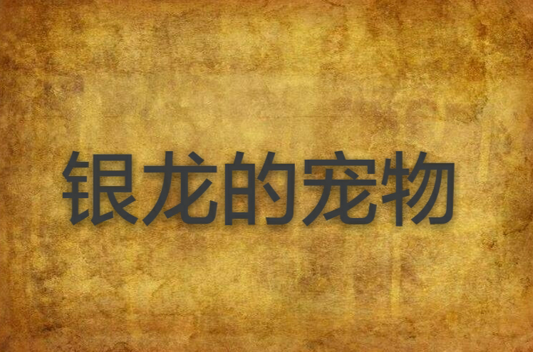 银龙的宠物