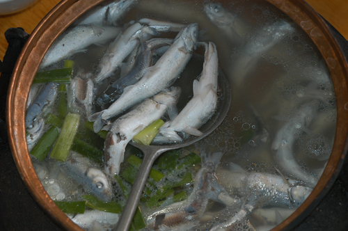 明星蘸水食洞鱼