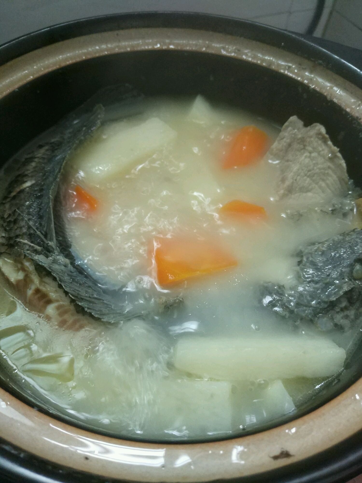 冬瓜生鱼汤