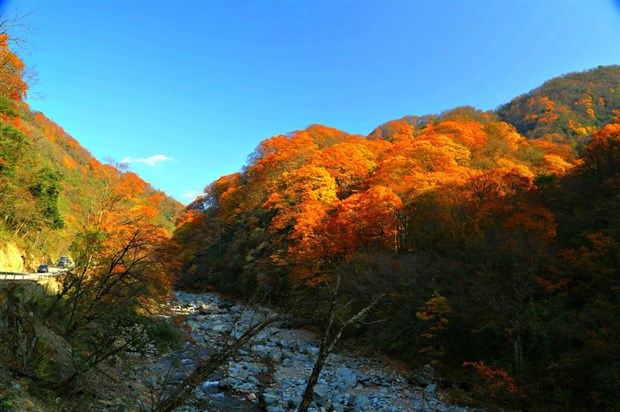 四川北川国家森林公园