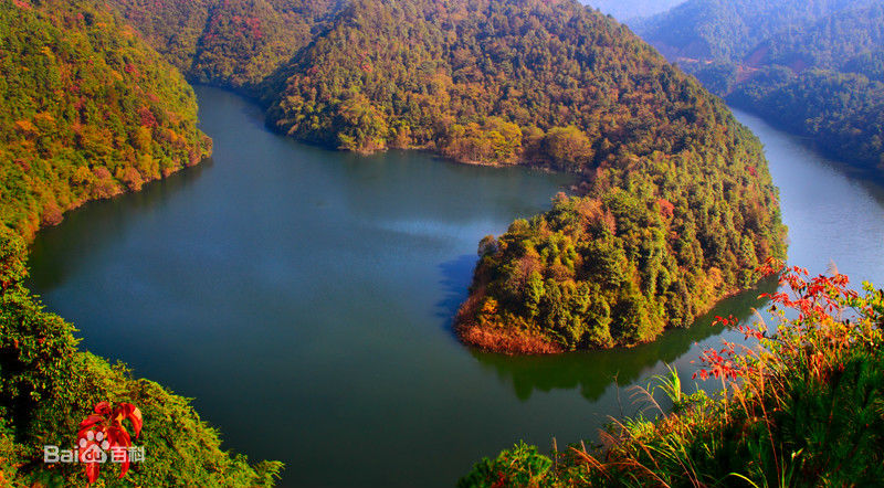 浏阳市 a href=