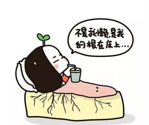 懒日子网上洗衣