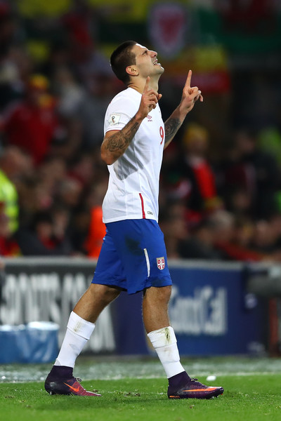 米特罗维奇 全网资源