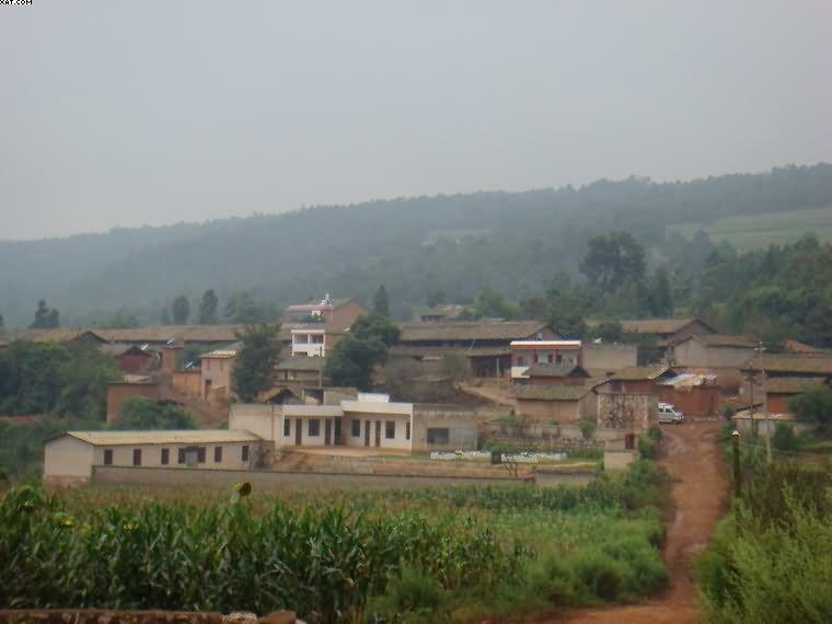  p>雨尾河自然村隶属于召夸镇大栗树村委会,属于半山区. /p>