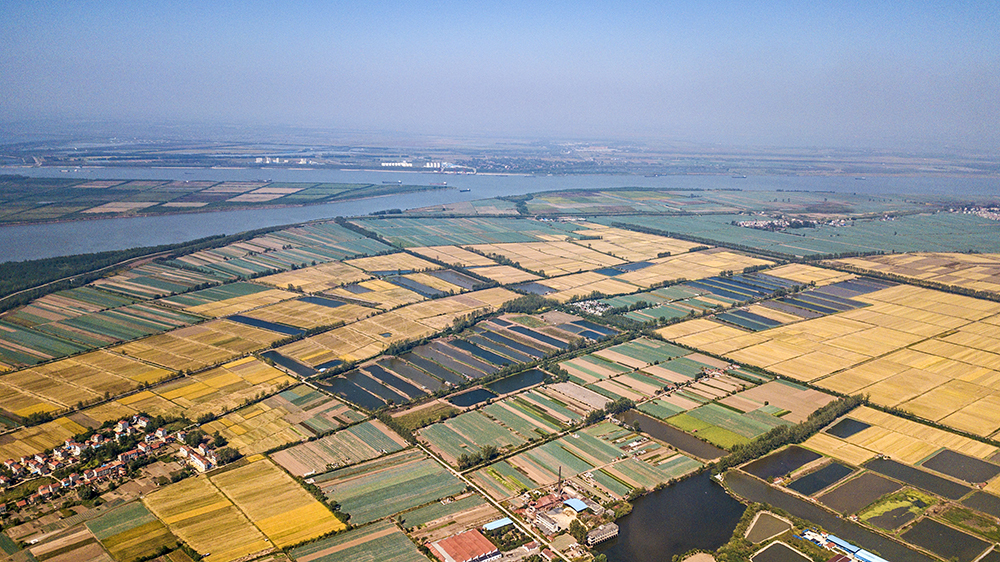 簰洲湾镇