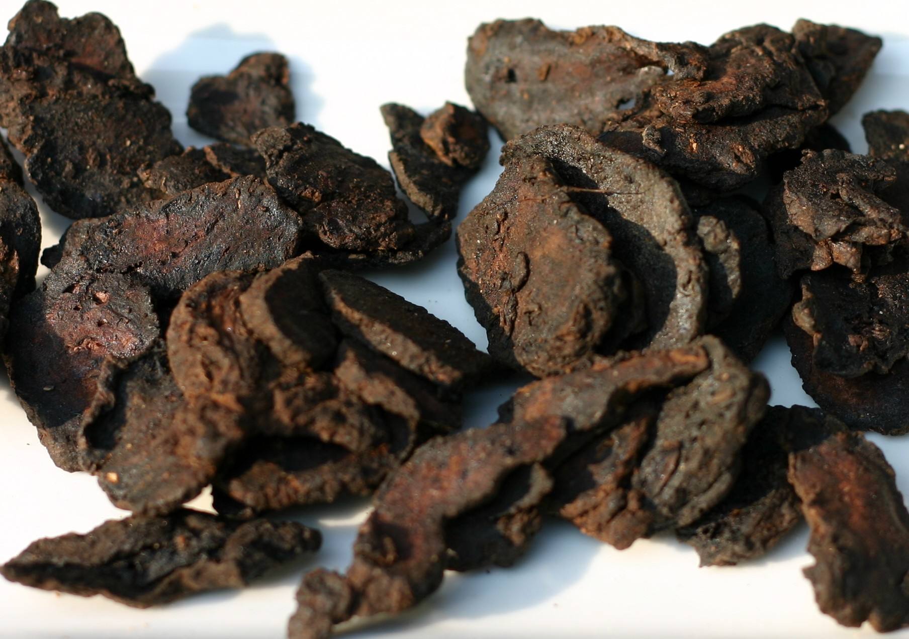 熟地黄 全网资源