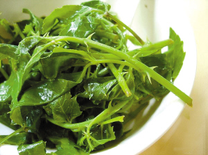 簕菜