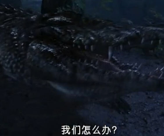 巨鳄2 全网资源