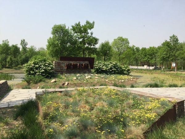 东郊公园