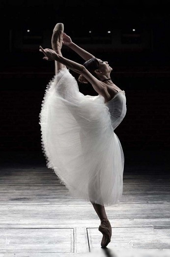 北京国际芭蕾舞邀请赛舞蹈作品编导,《中俄狂舞争霸赛》赛事艺术指导