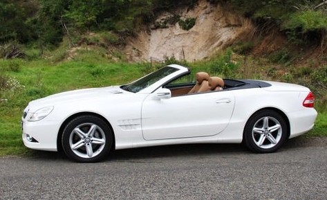 奔驰c coupe_奔驰 c coupe_奔驰新c coupe