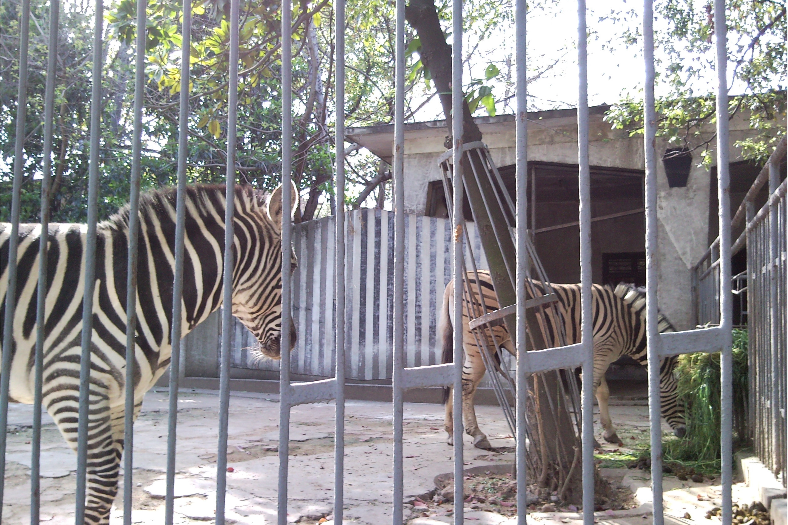 Ұ԰ƱŹ_Ұ԰Ʊ Ź_Ұ԰ƱŹ