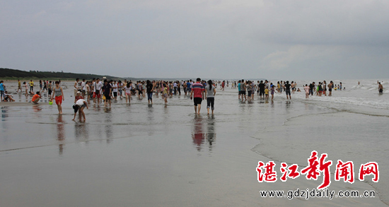 p></p></a>南三岛滨海旅游示范区于2013年11月6日成立,为湛江市政府派出机构