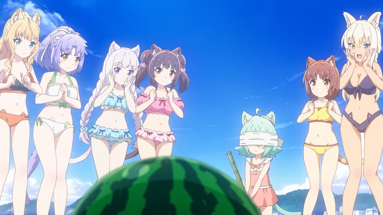猫娘乐园