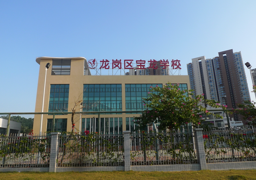 龙岗学校网站推广 全网资源