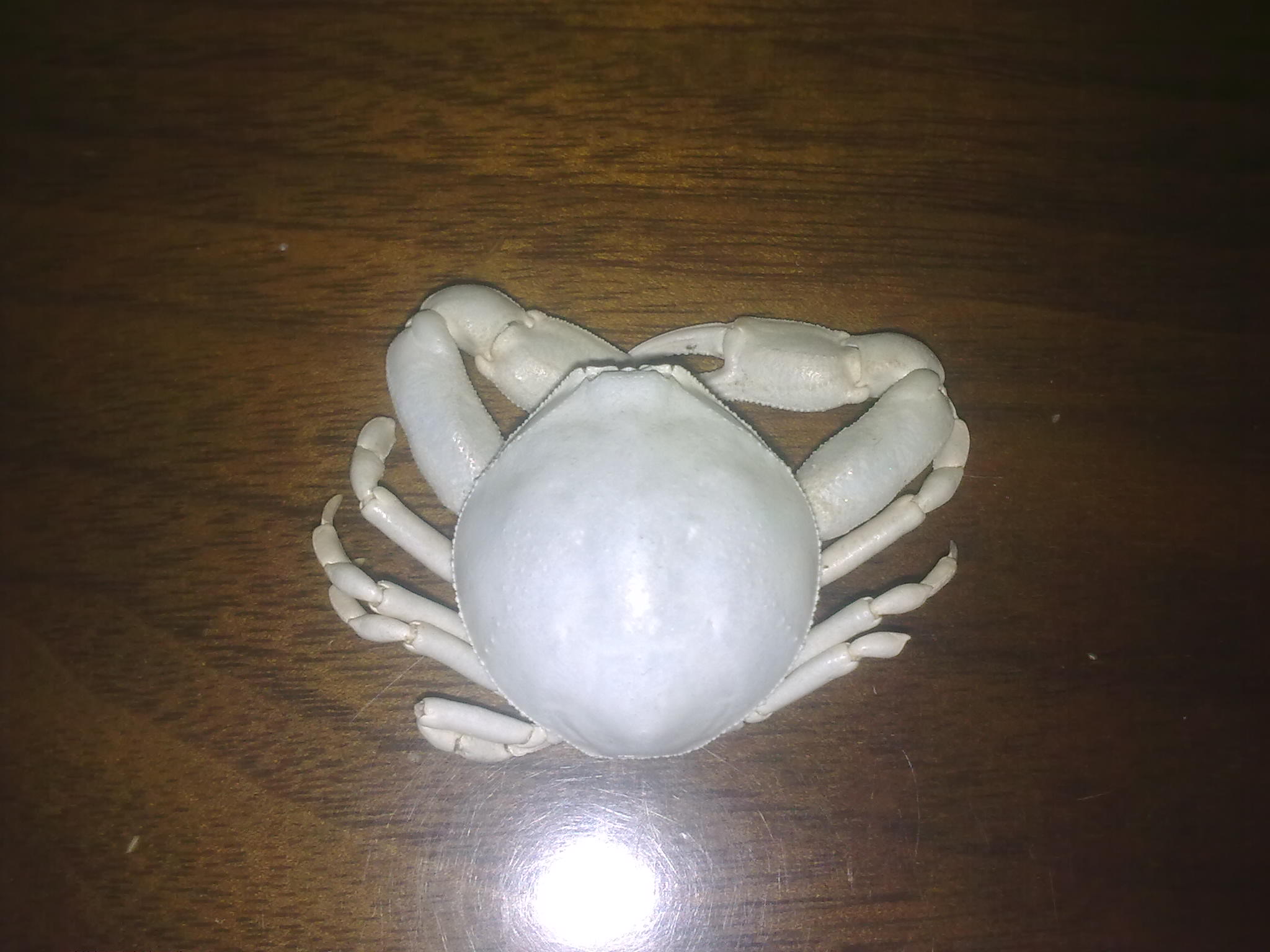 玉蟹