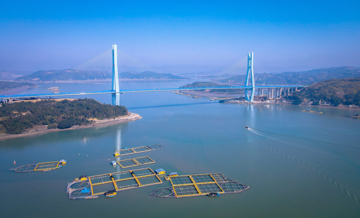 沙埕湾