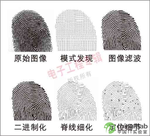 案情小指紋會被錄入系統嗎_駕考錄入不了指紋_駕校錄入系統不能錄入