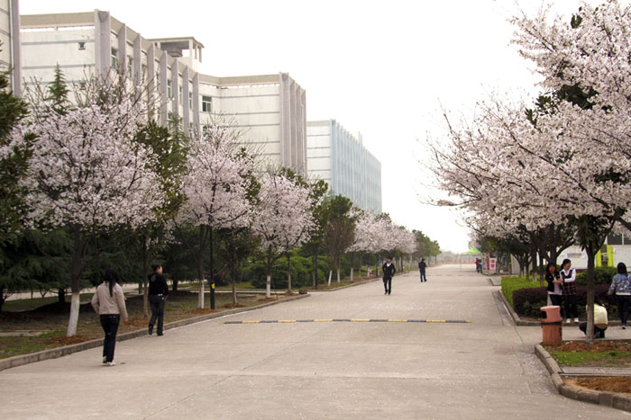 学校位于中国光谷武汉东湖高新技术开发区庙山科技园,占地648亩,现代